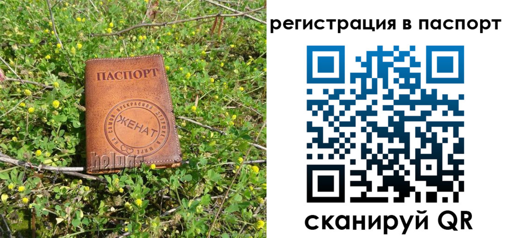 прописка законно в Кремёнках